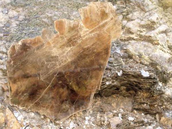 云母含鐵愈高時(shí)，顏色愈深，同時(shí)多色性和吸收性增強(qiáng)